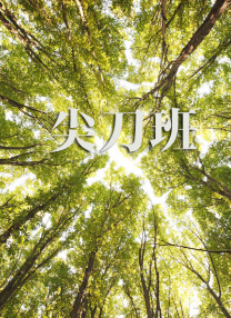 欧美性性性性性